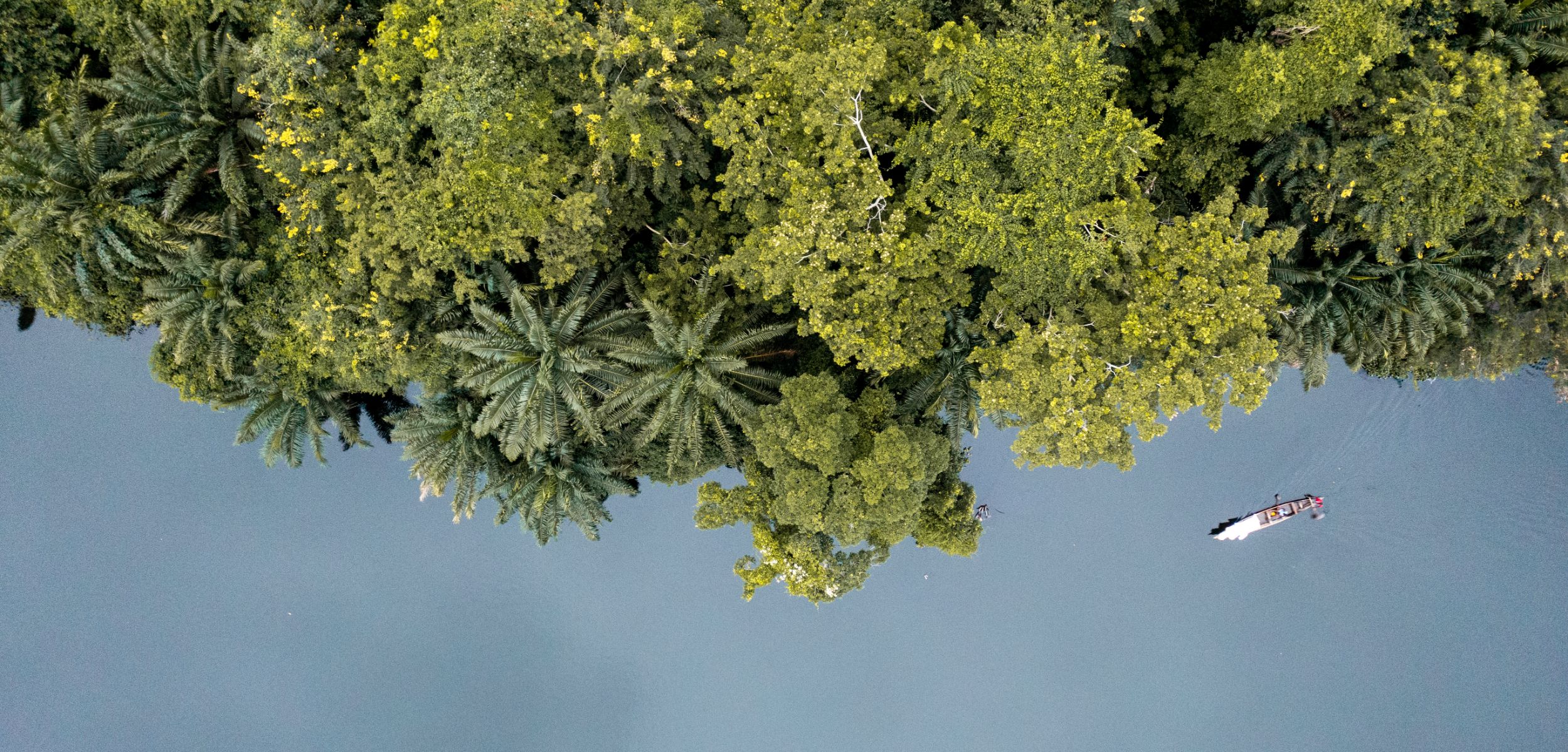 An aerial view of a canoe, the Volta River and the Nature Park next to The Royal Senchi Hotel and Resort in Ghana