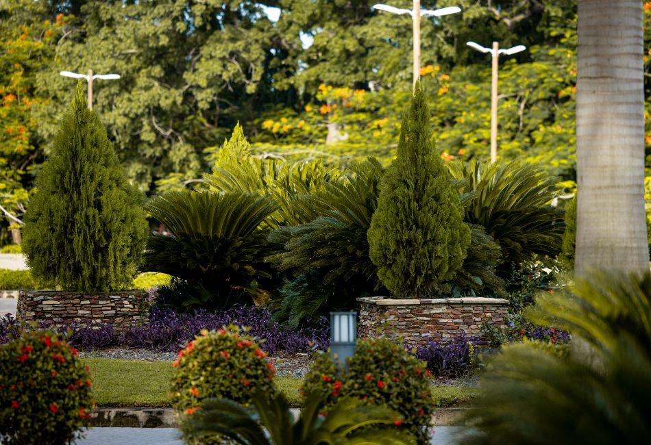 Image of the lush landscape at The Royal Senchi Hotel & Resort in Ghana